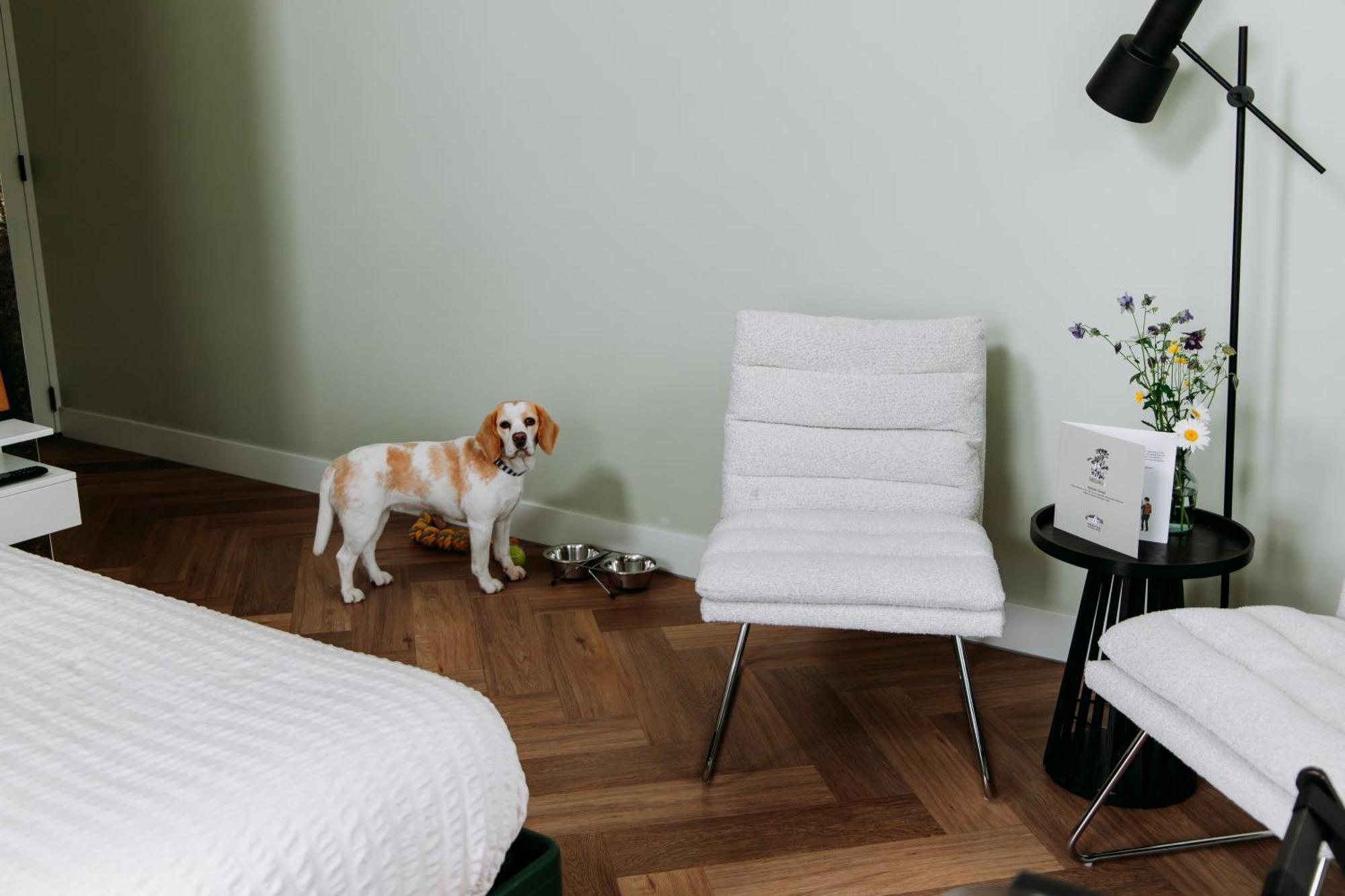 Boutique B&B Oud Aa Breukelen Eksteriør billede